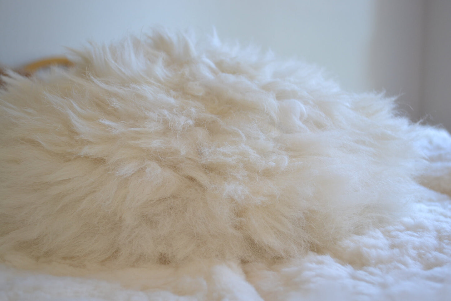Coussin rond en alpaga (blanc)