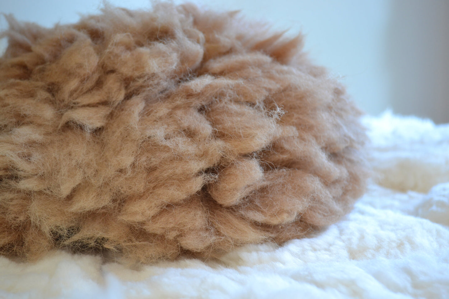 Coussin rond en alpaga (blanc et marron)