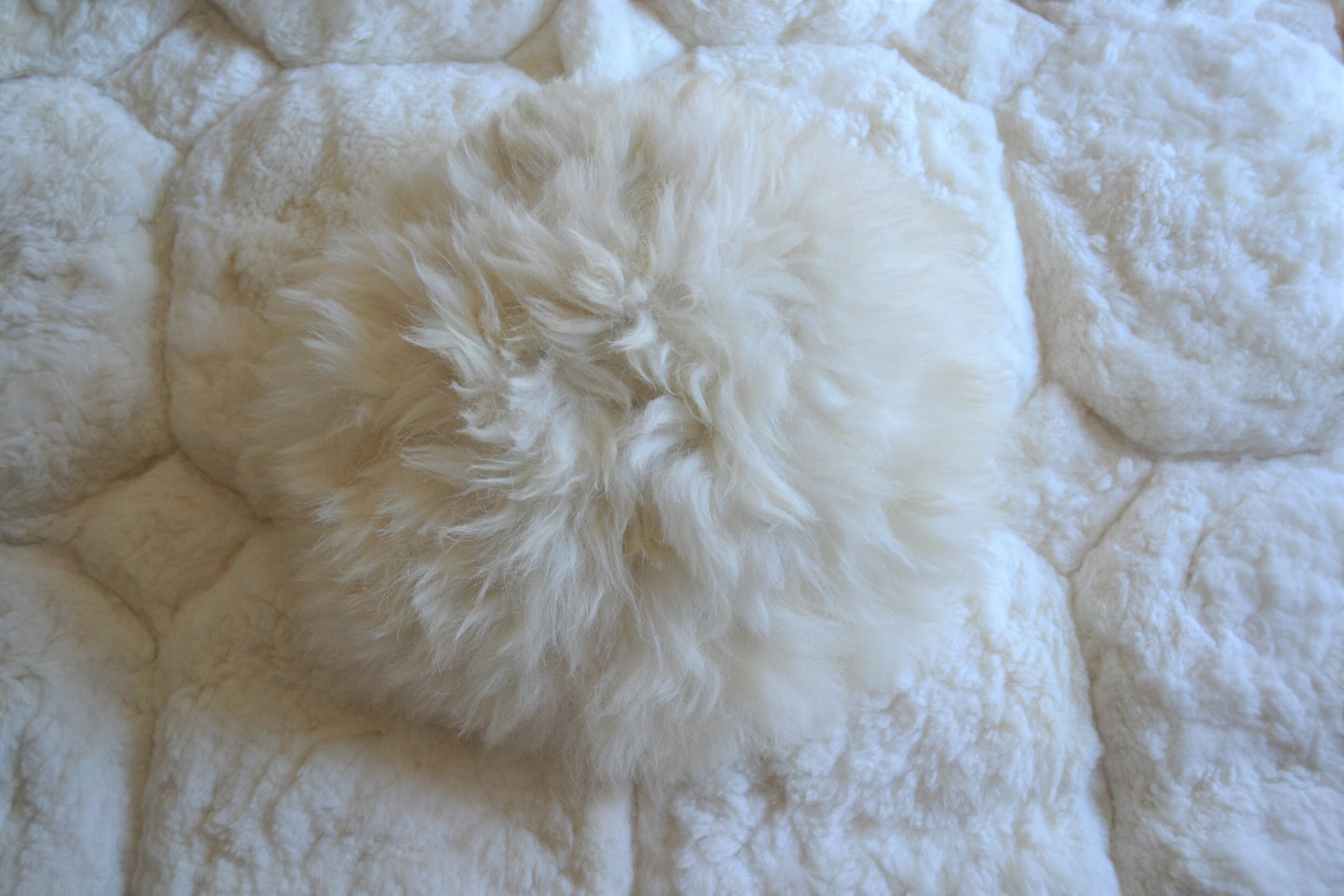 Coussin rond en alpaga (blanc)