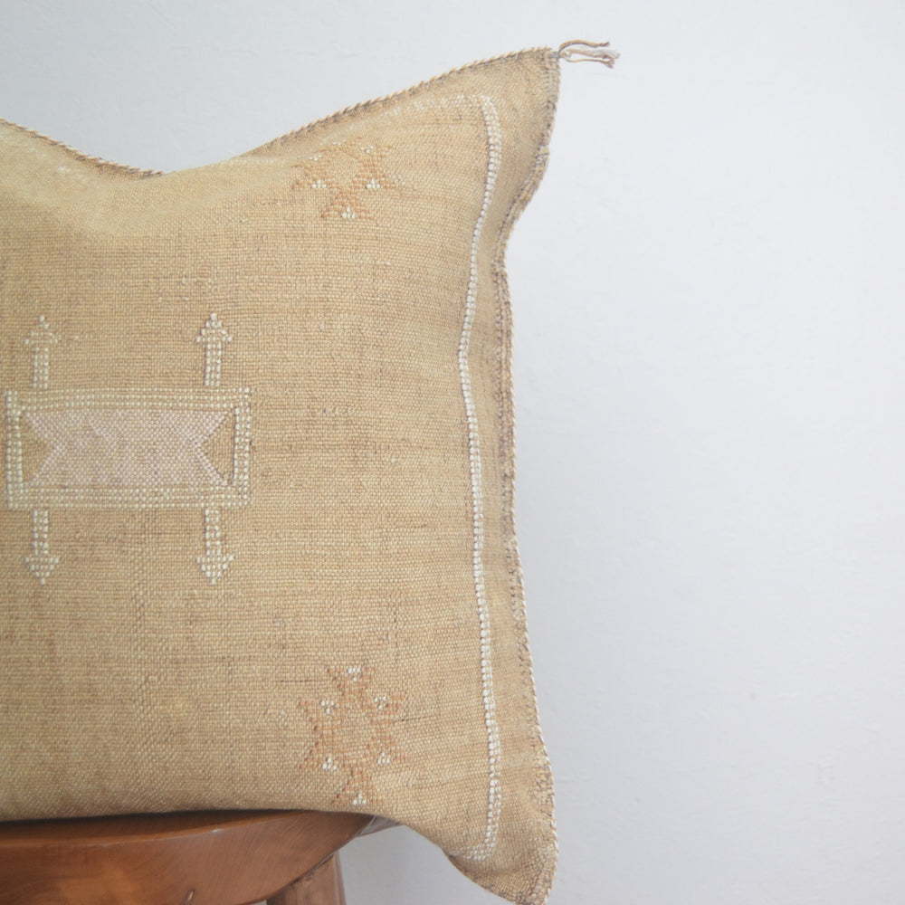 
                      
                        Sabra Silk Pillow - Abstract
                      
                    