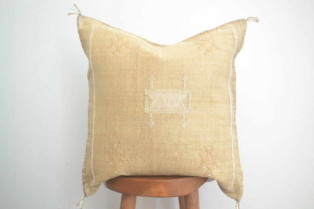 Sabra Silk Pillow - Abstract