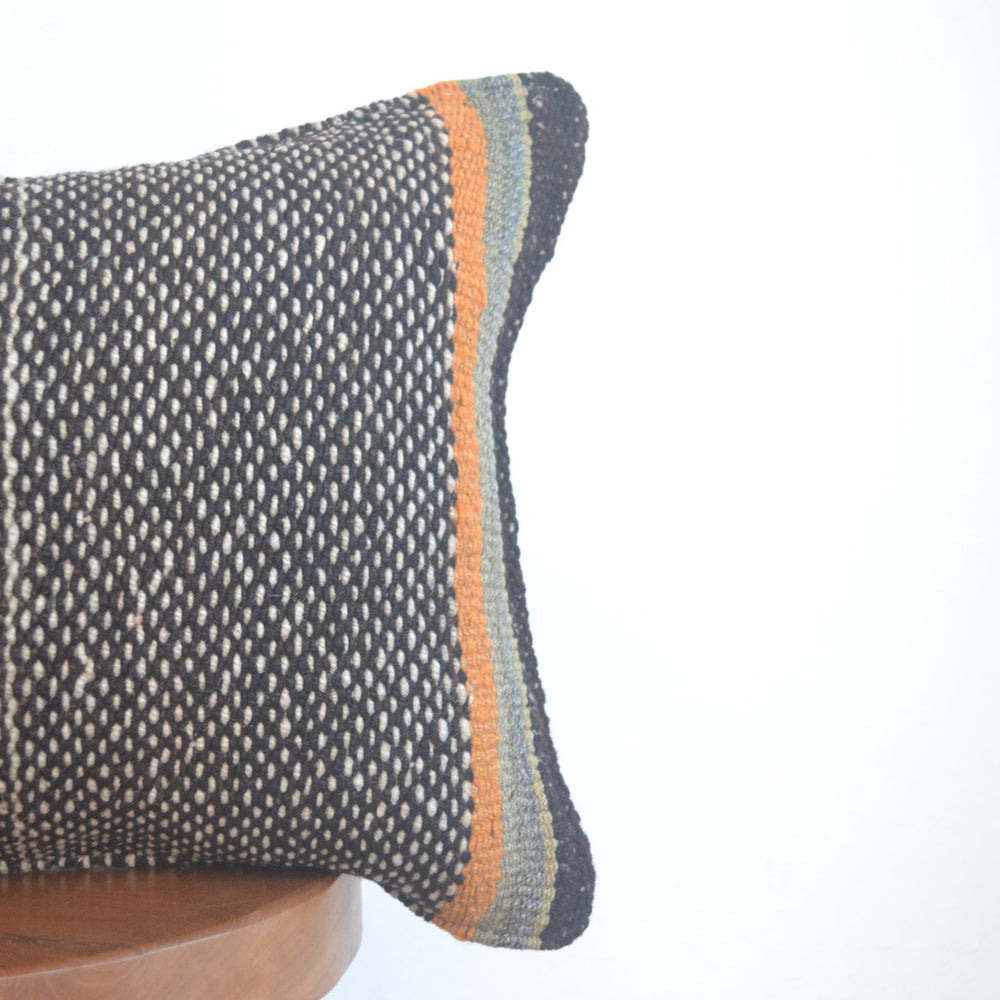 
                      
                        Almohada lumbar Frazada (negra)
                      
                    