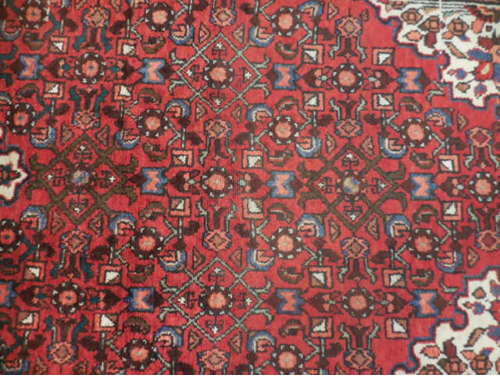 
                      
                        Persian Rug "Rossie" 3'7"x 10'9:
                      
                    